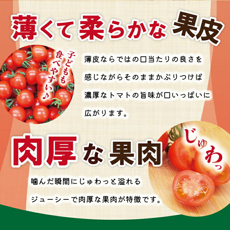 【ふるさと納税】明和町産 完熟 トマト ほれまる 選べる 1kg 3kg ミニトマト 朝採り 新鮮 生鮮 野菜 あっさり - 画像3