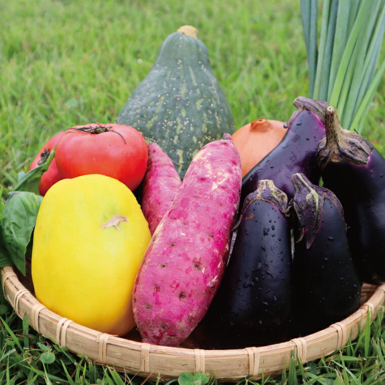 【ふるさと納税】 旬の野菜 詰め合わせ 6〜7品以上 連続3か月 【 定期便 】 おまかせ セット 産地直送 新鮮 野菜 季節の野菜 旬 直売所 直送 連続 新鮮 ja1 - 画像2