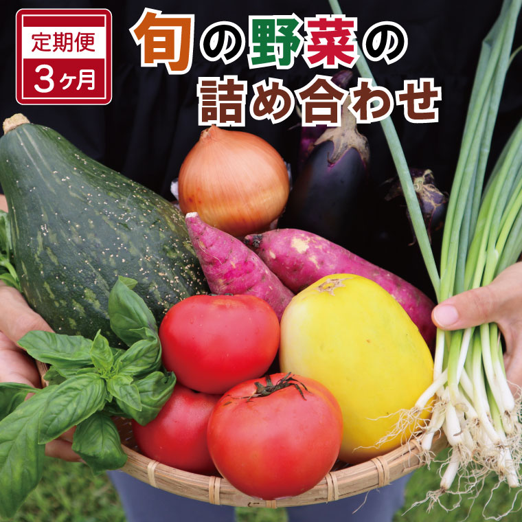旬の野菜 詰め合わせ 6〜7品以上 連続3か月 【 定期便 】 おまかせ セット 産地直送 新鮮 野菜 季節の野菜 旬 直売所 直送 連続 新鮮 ja1