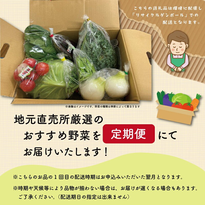 【ふるさと納税】 旬の野菜 詰め合わせ 6〜7品以上 連続3か月 【 定期便 】 おまかせ セット 産地直送 新鮮 野菜 季節の野菜 旬 直売所 直送 連続 新鮮 ja1 - 画像3