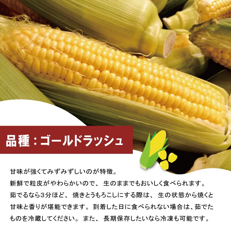 【ふるさと納税】明和町産 朝採れ とうもろこし ゴールドラッシュ 10本～12本 BBQ 人気 トウモロコシ 生 野菜 新鮮 採れたて 産地直送 朝どれ 甘い 期間限定 国産 旬 夏野菜 きたむら - 画像3