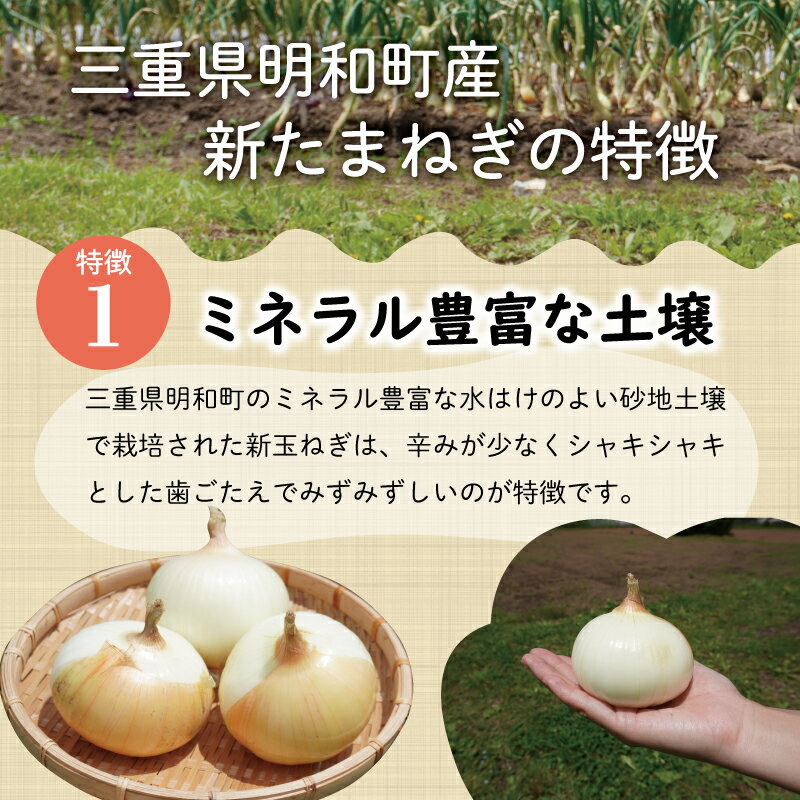 【ふるさと納税】北山さんちの新たまねぎ 6kg 産地直送 新鮮 野菜 季節の野菜 旬 直送 玉ねぎ タマネギ 新玉ねぎ 国産 生がおいしい フレッシュ オニオン サラダ 玉ねぎステーキ オニオンスープ 甘み ジューシー お取り寄せ kn1 - 画像2