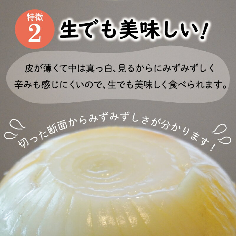 【ふるさと納税】北山さんちの新たまねぎ 6kg 産地直送 新鮮 野菜 季節の野菜 旬 直送 玉ねぎ タマネギ 新玉ねぎ 国産 生がおいしい フレッシュ オニオン サラダ 玉ねぎステーキ オニオンスープ 甘み ジューシー お取り寄せ kn1 - 画像3