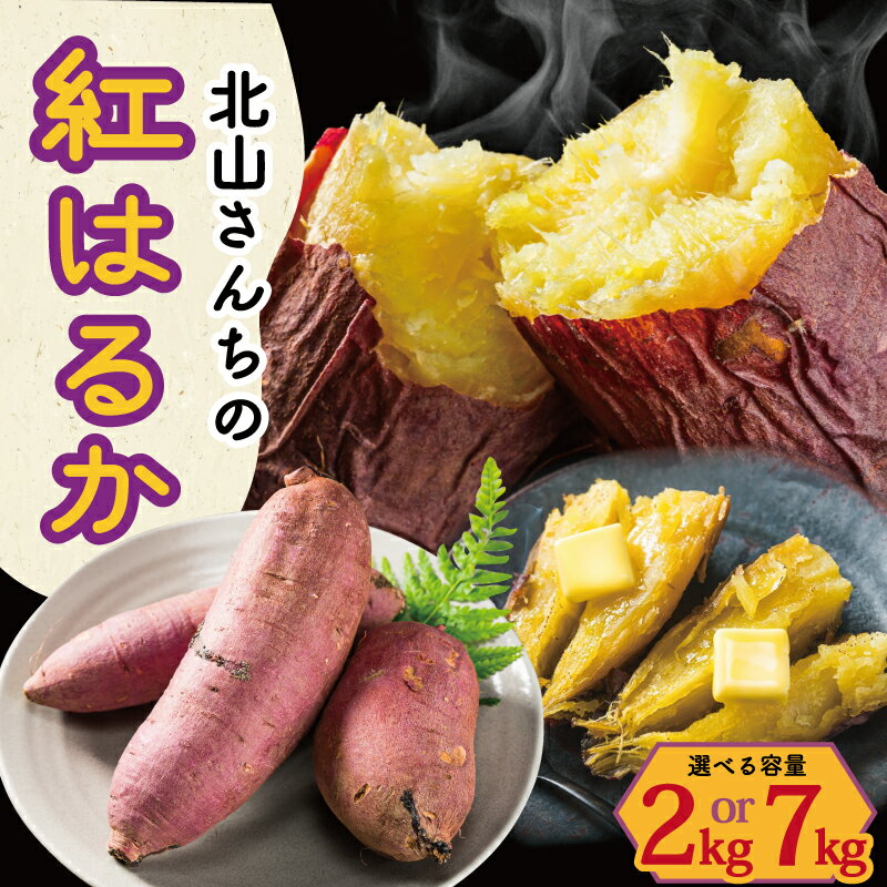 北山さんちのさつまいも 紅はるか 2kg 7kg 選べる 内容量 さつまいも サツマイモ 薩摩芋 いも 芋 ほくほく 産地直送 新鮮 野菜 季節の野菜 旬 直送