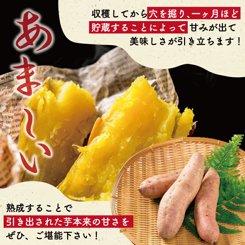 【ふるさと納税】 北山さんちのさつまいも 安納芋 2kg 7kg 選べる 内容量 さつまいも サツマイモ 薩摩芋 いも 芋 ほくほく 産地直送 新鮮 野菜 季節の野菜 旬 直送 - 画像2