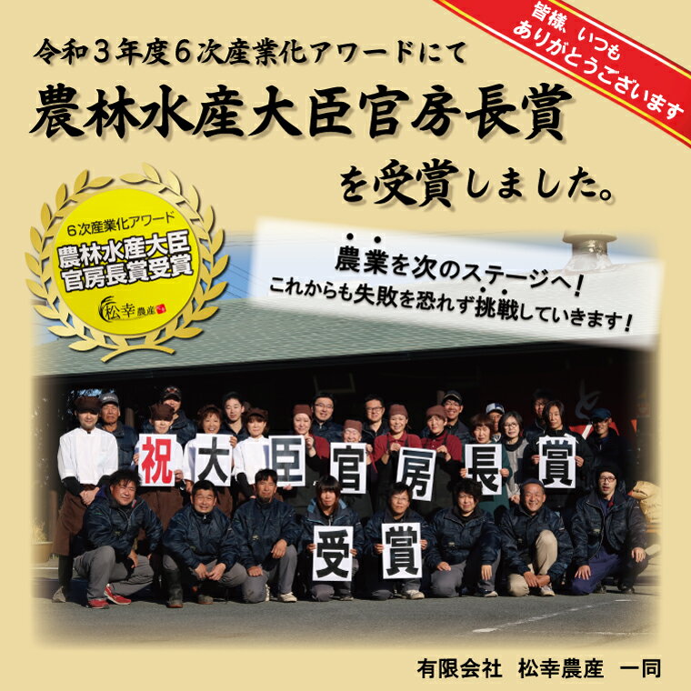 【ふるさと納税】 三重県産 特選米 コシヒカリ 5kg 定期便 ふるさと納税 ふるさと 米 コメ こめ おこめ ギフト プレゼント 贈答 贈り物 御祝い お祝い返礼品 人気 お取り寄せ 三重米 お米 新米 白米 精米 ブランド米 国産 毎月届く MK17 - 画像3