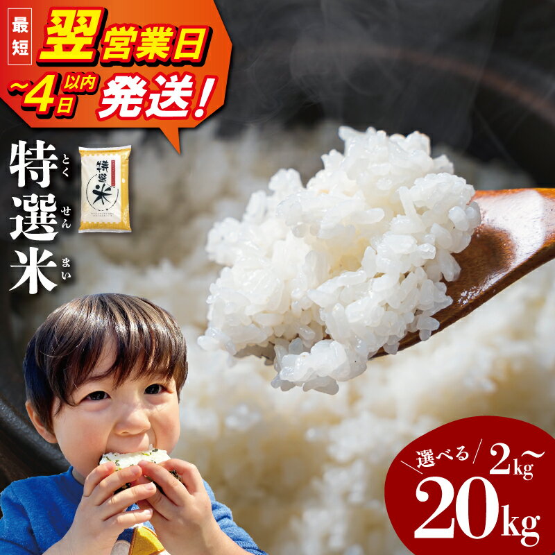 三重県産 特選米 コシヒカリ 《最速便》 即納 えらべる 内容量 2kg 5kg 10kg 15kg 20kg 米 こめ 玄米 小分け 冷めてもおいしい ふるさと コメ ギフト プレゼント 人気 お取り寄せ 三重米 白米 精米 ブランド米 国産 (有)松幸農産 MK