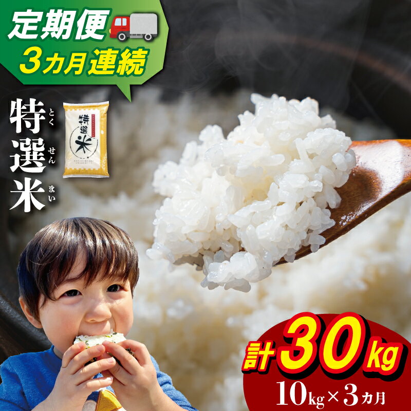三重県産 特選米 コシヒカリ 10kg 定期便 3回 ふるさと納税 ふるさと 米 コメ こめ おこめ ギフト プレゼント 贈答 贈り物 御祝い お祝い返礼品 人気 お取り寄せ 三重米 お米 新米 白米 精米 ブランド米 国産 毎月届く MK18