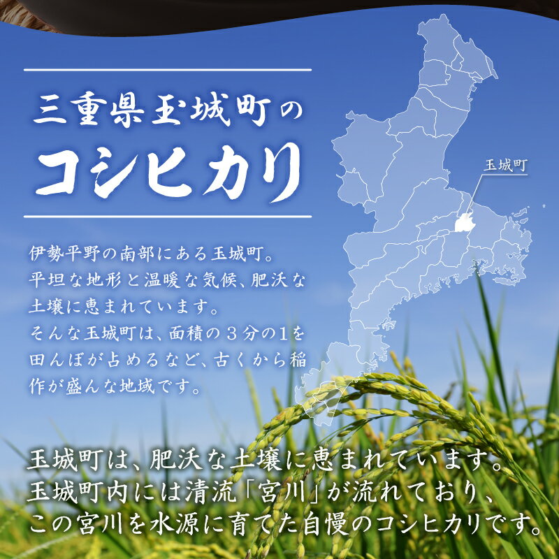 【ふるさと納税】 新米 コシヒカリ 白米 お米 令和7年 三重県産 5kg 10kg 20kg 贈答 ギフト 新嘗祭皇室献上米農家 米 ご飯 三重県 玉城町 玉城ふれあい農園 サムネイル2