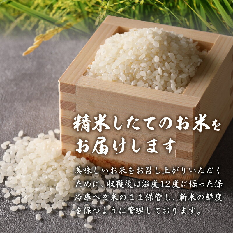【ふるさと納税】 新米 コシヒカリ 白米 お米 令和7年 三重県産 5kg 10kg 20kg 贈答 ギフト 新嘗祭皇室献上米農家 米 ご飯 三重県 玉城町 玉城ふれあい農園 サムネイル3