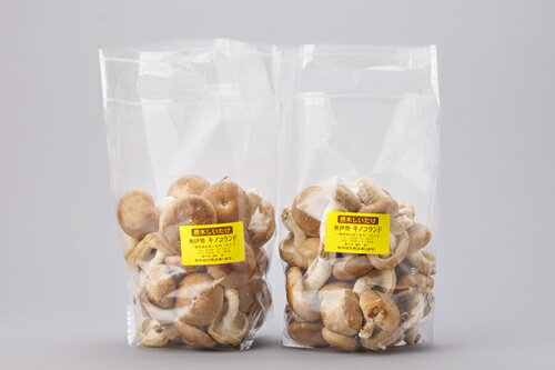 原木　生椎茸　1.2kg／キノコランド　ふるさと納税　大紀ブランド　お取り寄せグルメ　キノコ　きのこ　三重県　大紀町