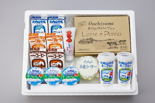 （冷蔵） 大内山ミルク村 おすすめ B ／ ふるさと納税 プリン ヨーグルト 牛乳 乳飲料 バター 大紀ブランド 三重県 大紀町
