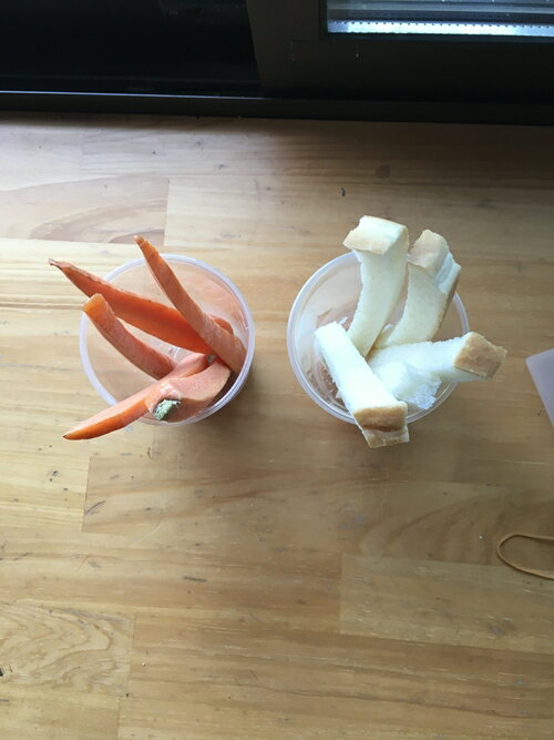 【ふるさと納税】大内山動物園 年間パスポート1枚 ／ 動物園 チケット エサ付き 旅行 三重県 大紀町 - 画像2