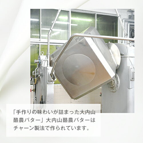 【ふるさと納税】（冷蔵） 大内山ミルク村 おすすめ B ／ ふるさと納税 プリン ヨーグルト 牛乳 乳飲料 バター 大紀ブランド 三重県 大紀町 - 画像3