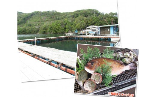 釣り チケット ペア 5回分 貸し切り お土産 付き 城水産 釣堀 釣り堀 魚釣り つり フィッシング 筏釣り 観光 旅行 アクティビティ 家族 子供 子ども 利用券 体験 鯛 たい 魚 魚介 海鮮 海 刺し身 三重 南伊勢 伊勢志摩