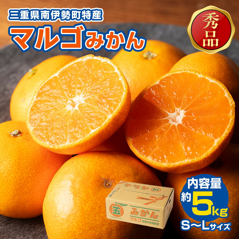 みかん 温州みかん 約5kg （S～Lサイズ） 秀品 数量限定 期間限定 柑橘 蜜柑 mikan フルーツ 果物 くだもの 国産 ブランド 贈答用 贈答品 贈答 ギフト 三重県 伊勢 志摩 南伊勢町 マルゴみかん JA伊勢