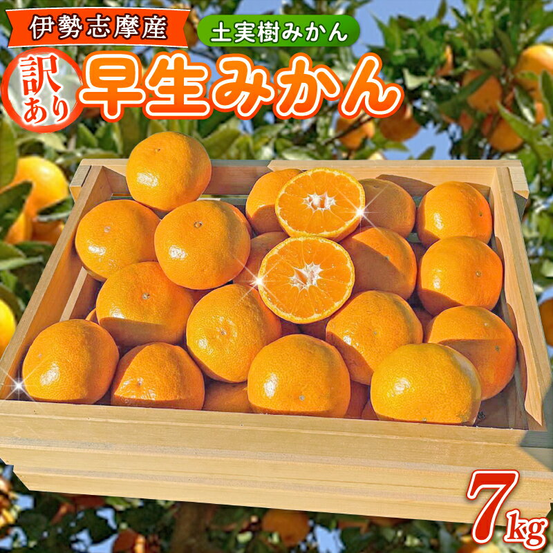 訳あり 早生みかん 7kg ご家庭用 みかん 期間限定 温州みかん mikan 果物 かんきつ 土実樹みかん ミカン 蜜柑 柑橘 フルーツ くだもの 果物 訳アリ わけあり 伊勢志摩産 三重県 南伊勢町 土実樹農園 15000円 20000円以下 一万円台