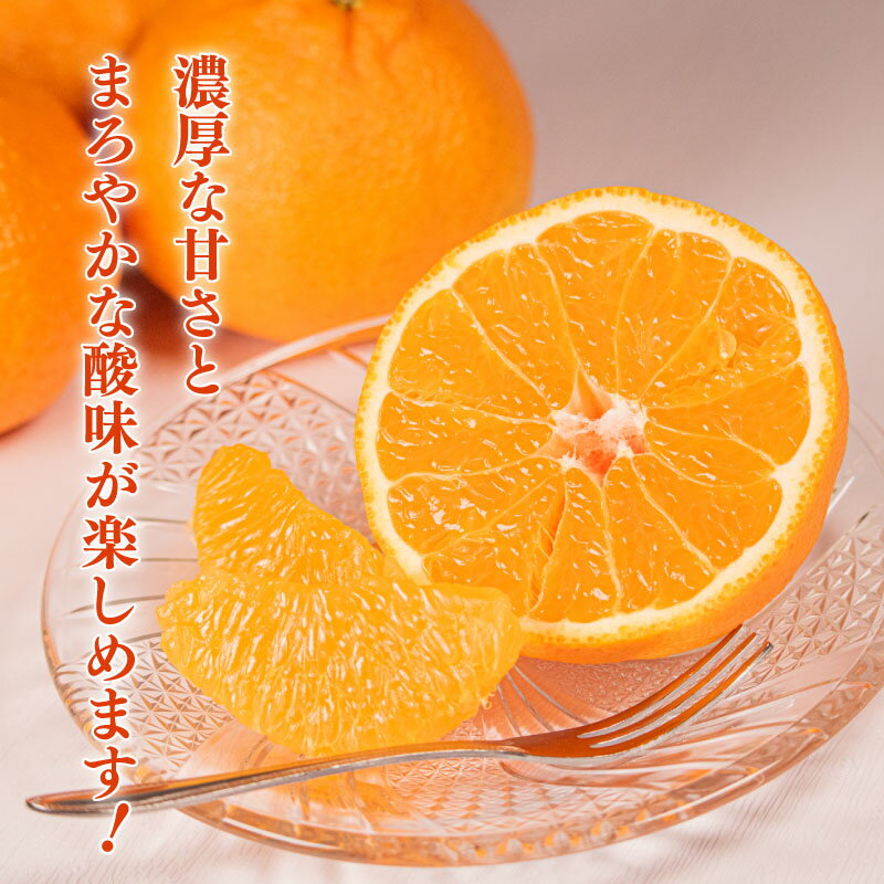 【ふるさと納税】 先行予約 不知火 11～12個 数量限定 期間限定 内瀬デコ アサヒ農園 しらぬい 柑橘 みかん 蜜柑 フルーツ 果物 くだもの 贈答用 贈答品 贈答 ギフト プレゼント 国産 ブランド 三重県 伊勢 志摩 南伊勢町 20000円 2万円 サムネイル3