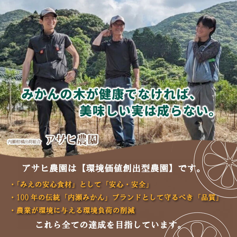 【ふるさと納税】 先行予約 みかん 温州みかん 約5kg 数量限定 期間限定 内瀬みかん アサヒ農園 柑橘 蜜柑 フルーツ 果物 くだもの 国産 ブランド 三重県 伊勢 志摩 南伊勢町 20000円 2万円 サムネイル2