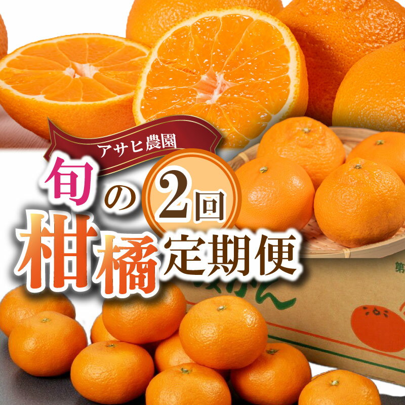 先行予約 柑橘 定期便 2回 温州みかん せとか 不知火 数量限定 期間限定 内瀬みかん 内瀬デコ アサヒ農園 しらぬい 柑橘 みかん 蜜柑 フルーツ 果物 くだもの 贈答用 贈答品 贈答 ギフト プレゼント 国産 ブランド 三重県 伊勢 志摩 南伊勢町