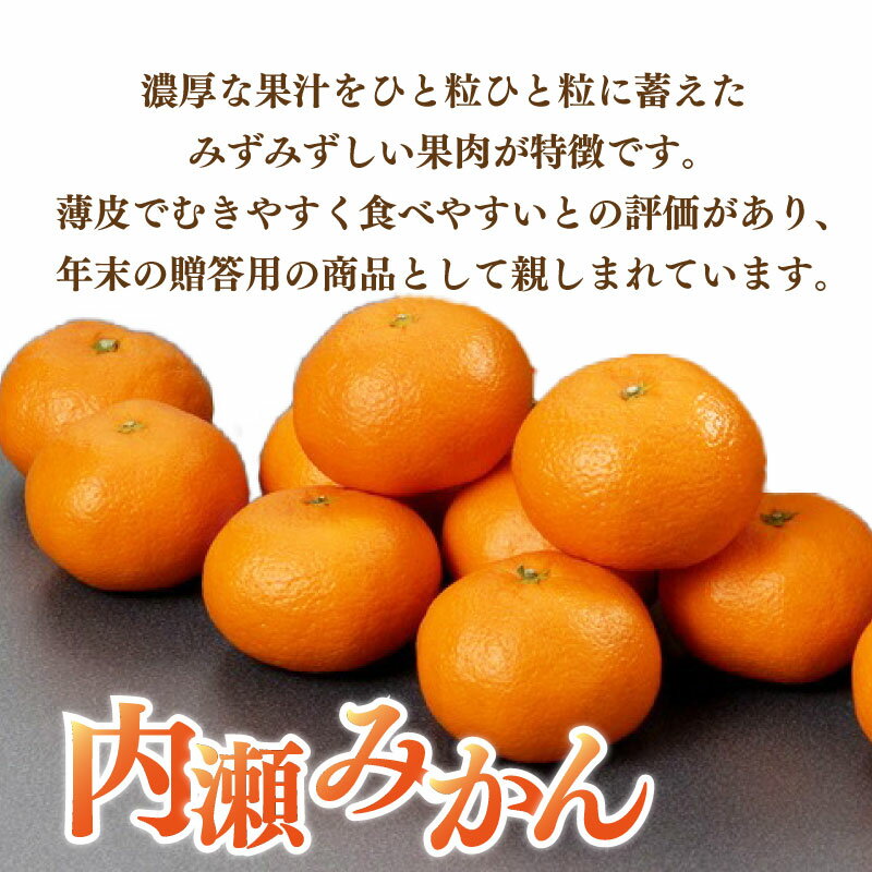 【ふるさと納税】 先行予約 柑橘 定期便 2回 温州みかん せとか 不知火 数量限定 期間限定 内瀬みかん 内瀬デコ アサヒ農園 しらぬい 柑橘 みかん 蜜柑 フルーツ 果物 くだもの 贈答用 贈答品 贈答 ギフト プレゼント 国産 ブランド 三重県 伊勢 志摩 南伊勢町 サムネイル2