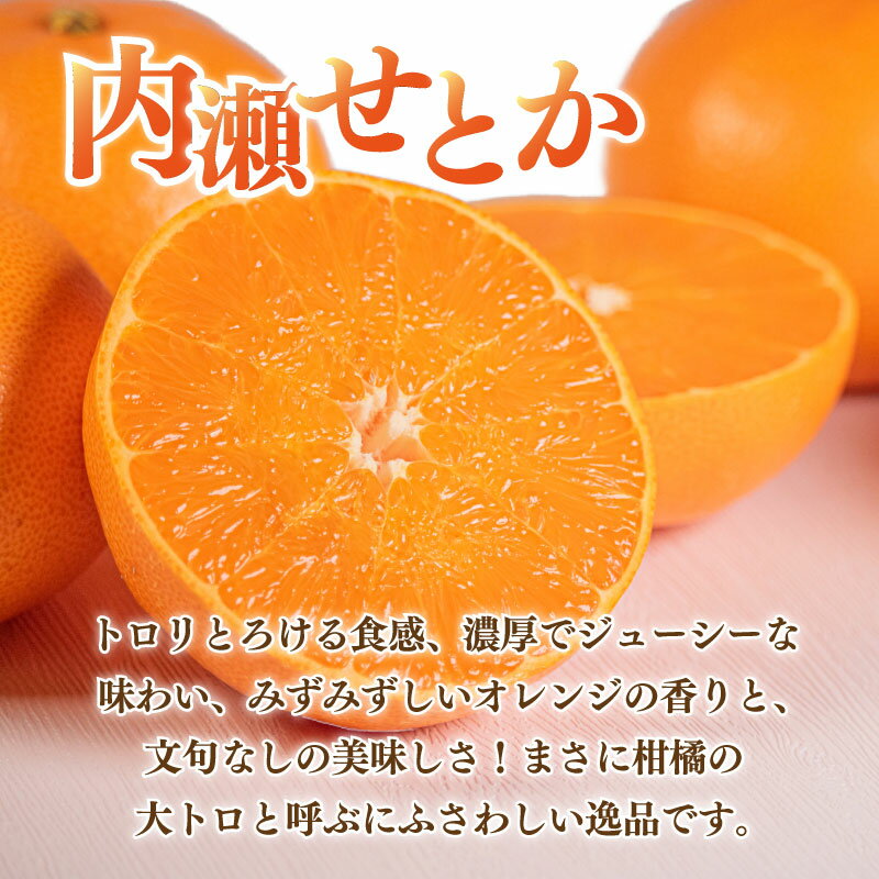 【ふるさと納税】 先行予約 柑橘 定期便 2回 温州みかん せとか 不知火 数量限定 期間限定 内瀬みかん 内瀬デコ アサヒ農園 しらぬい 柑橘 みかん 蜜柑 フルーツ 果物 くだもの 贈答用 贈答品 贈答 ギフト プレゼント 国産 ブランド 三重県 伊勢 志摩 南伊勢町 サムネイル3