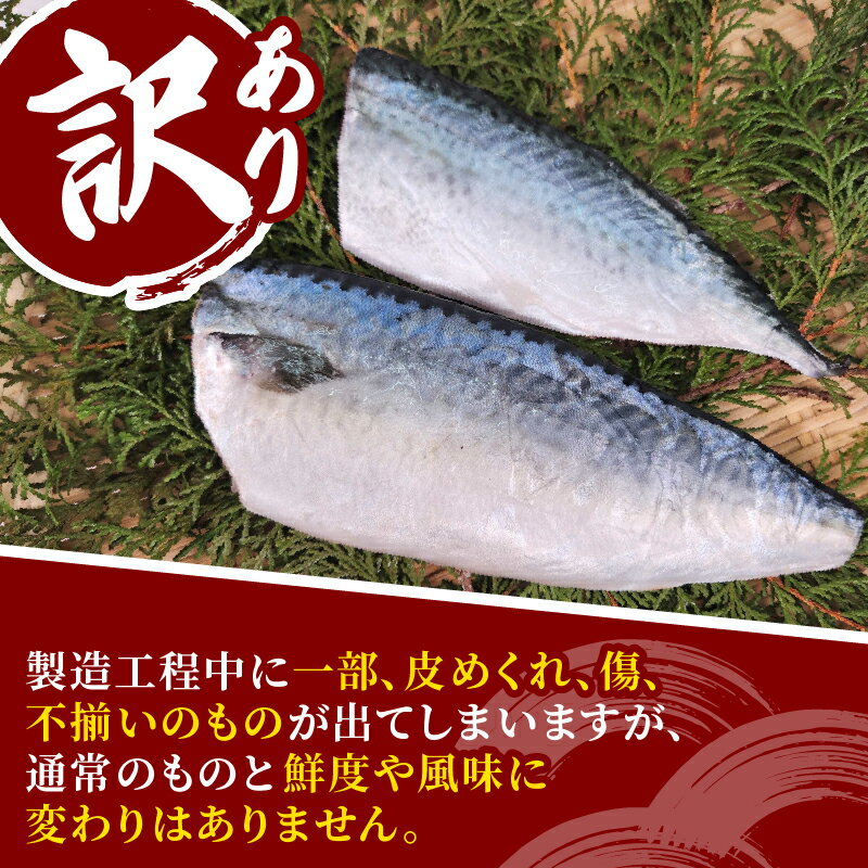 【ふるさと納税】 数量限定 訳あり サバ 鯖 2～4kg バラ凍結 無塩 外湾漁業協同組合 国産サバ 国産鯖 無塩鯖 無塩サバ さば saba 簡単 保存 調理 焼き 味噌 みそ 簡易包装 わけあり 訳アリ 訳あり品 魚 魚介 海鮮 加工品 国産 三重 南伊勢町 伊勢 志摩 - 画像2