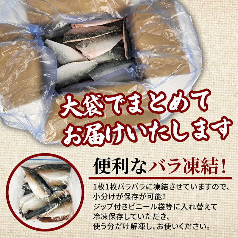 【ふるさと納税】 数量限定 訳あり サバ 鯖 2～4kg バラ凍結 無塩 外湾漁業協同組合 国産サバ 国産鯖 無塩鯖 無塩サバ さば saba 簡単 保存 調理 焼き 味噌 みそ 簡易包装 わけあり 訳アリ 訳あり品 魚 魚介 海鮮 加工品 国産 三重 南伊勢町 伊勢 志摩 - 画像3