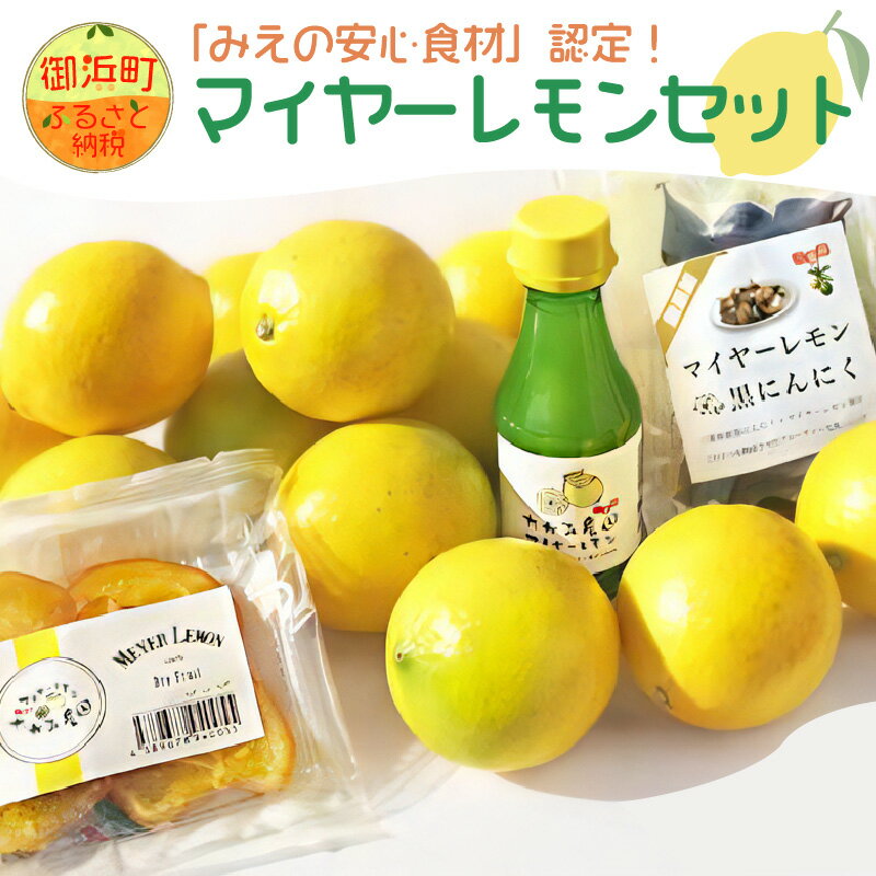 たかみ農園 マイヤーレモンセット 詰め合わせ セット 国産【「みえの安心食材」認定！マイヤーレモンのセット！酸味がまろやかで、フルーティーな後味が特徴です。ノーワックス ノー防腐剤】