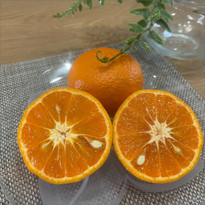 【ふるさと納税】【2026年発送 先行予約品】ミカファーム カラマンダリン＆セミノール詰め合わせ 5kg 9kg 春頃発送 三重県御浜町産 サムネイル2