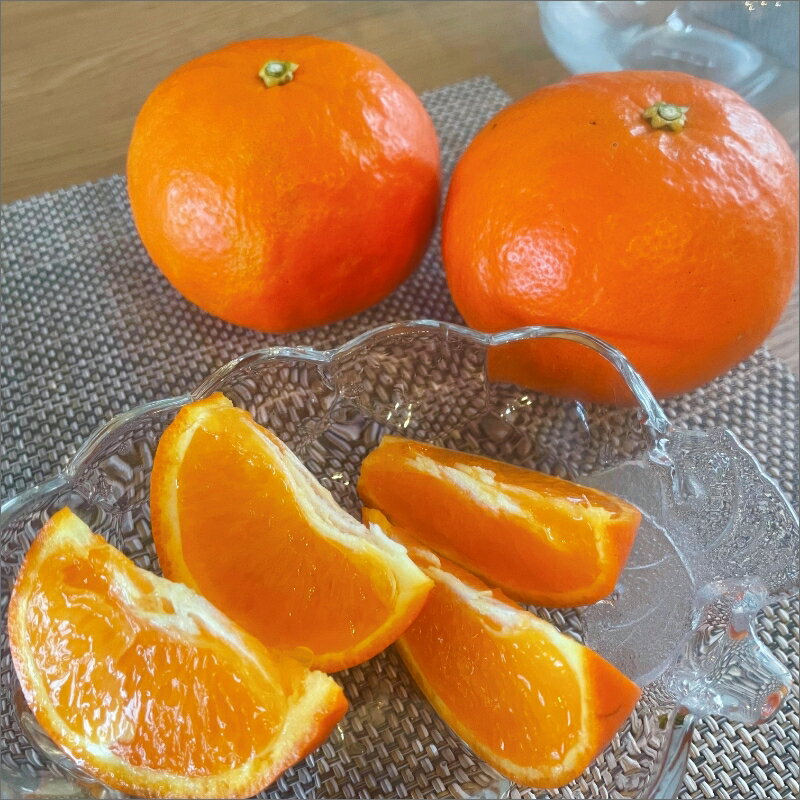 【ふるさと納税】【2026年発送 先行予約品】ミカファーム カラマンダリン＆セミノール詰め合わせ 5kg 9kg 春頃発送 三重県御浜町産 サムネイル3