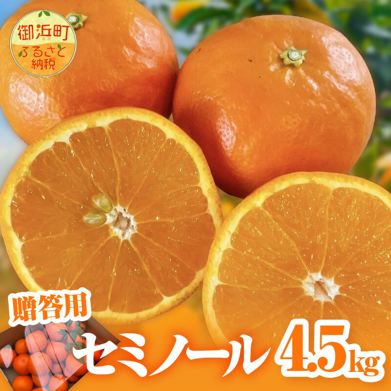 【2026年発送 先行予約品】ジューシーさダントツ！ ミカファーム オレンジ セミノール 4.5kg 贈答用 春頃発送 三重県 御浜町産【濃厚な甘味と程よい酸味！】