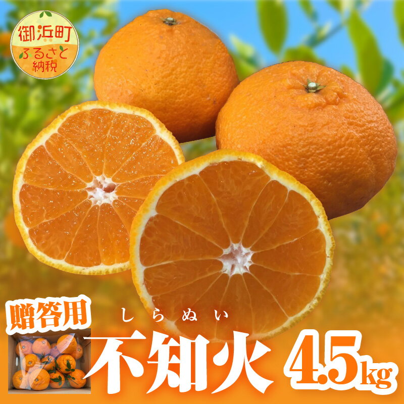 【2026年発送 先行予約品】濃密な甘酸っぱさ！ ミカファーム 不知火 4.5kg 贈答用 春頃発送 三重県 御浜町産【プチプチと弾ける食感】