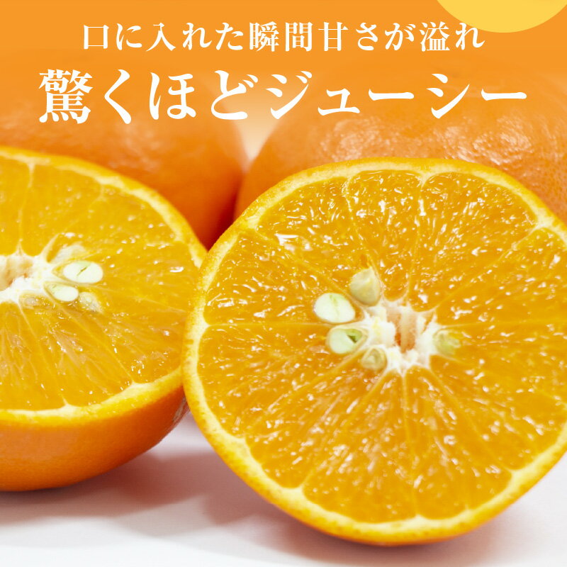 【ふるさと納税】【2026年発送 先行予約品】ジューシーさダントツ！ ミカファーム 訳あり オレンジ セミノール 5kg 9.5kg 三重県 御浜町産【濃厚な甘味と程よい酸味！】 サムネイル2