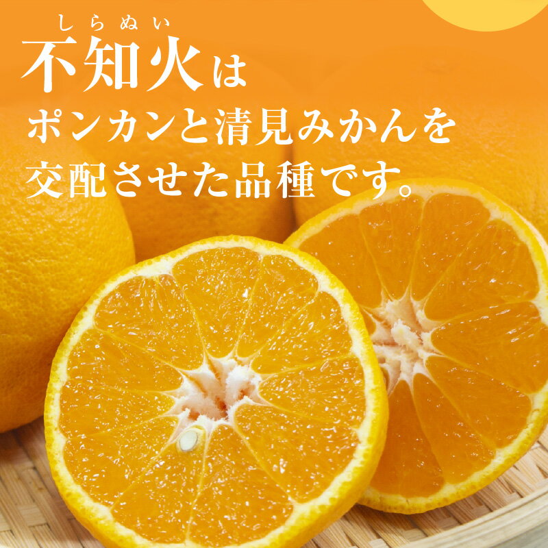 【ふるさと納税】【2026年発送 先行予約品】濃密な甘酸っぱさ！ ミカファーム 訳あり 不知火 5kg 9kg 家庭用 春頃発送 三重県 御浜町産【ジューシーかつ濃厚な味わい、プチプチと弾ける食感】 サムネイル2