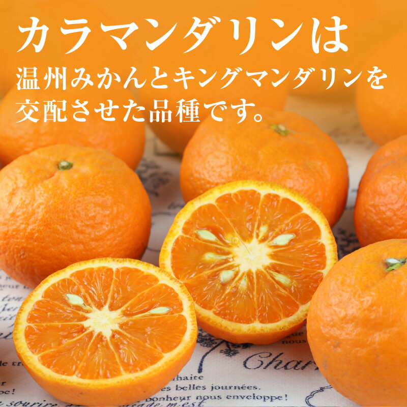 【ふるさと納税】【2026年発送 先行予約品】ミカファーム みかん カラマンダリン 5kg 9kg 家庭用 選べる 容量 三重県御浜町産【ジューシーかつ濃厚な味わいの高級柑橘】 サムネイル2