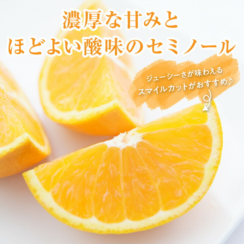 【ふるさと納税】【2026年発送 先行予約品】ジューシーさダントツ！ ミカファーム 訳あり オレンジ セミノール 5kg 9.5kg 三重県 御浜町産【濃厚な甘味と程よい酸味！】 サムネイル3