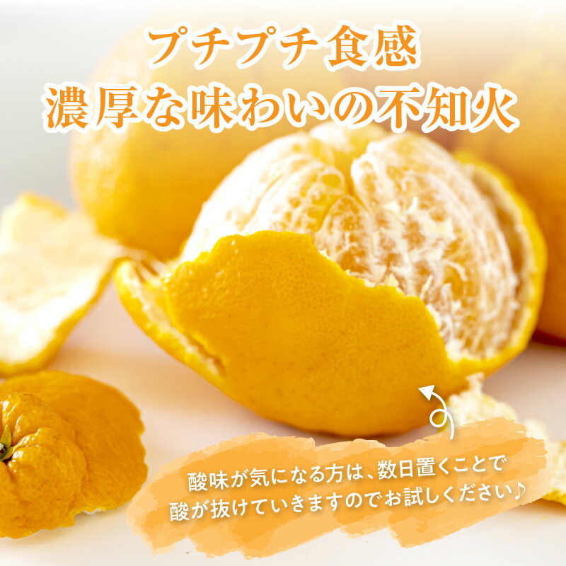 【ふるさと納税】【2026年発送 先行予約品】濃密な甘酸っぱさ！ ミカファーム 訳あり 不知火 5kg 9kg 家庭用 春頃発送 三重県 御浜町産【ジューシーかつ濃厚な味わい、プチプチと弾ける食感】 サムネイル3