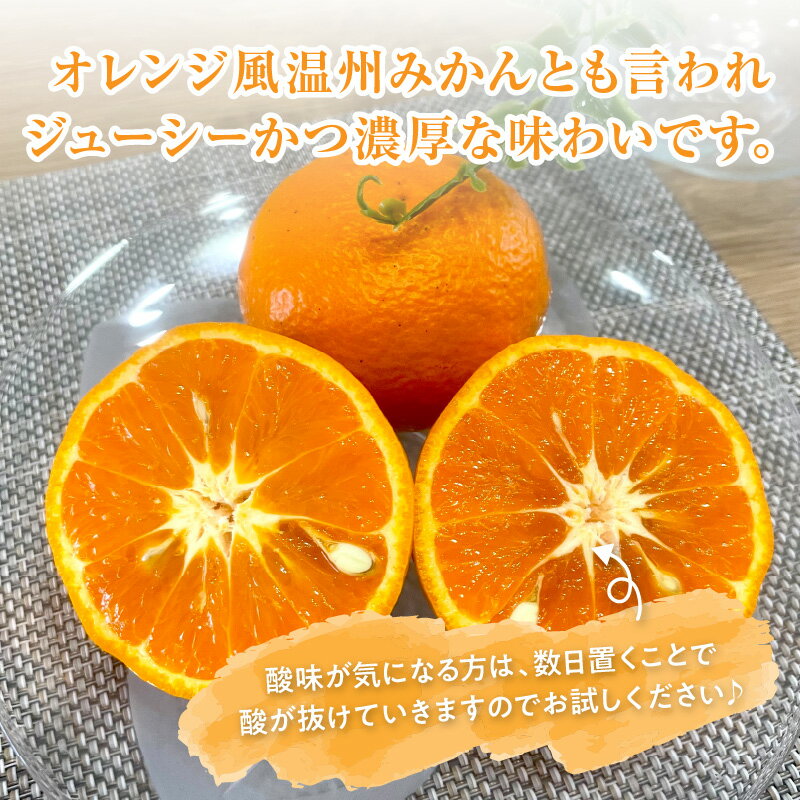 【ふるさと納税】【2026年発送 先行予約品】ミカファーム みかん カラマンダリン 5kg 9kg 家庭用 選べる 容量 三重県御浜町産【ジューシーかつ濃厚な味わいの高級柑橘】 サムネイル3