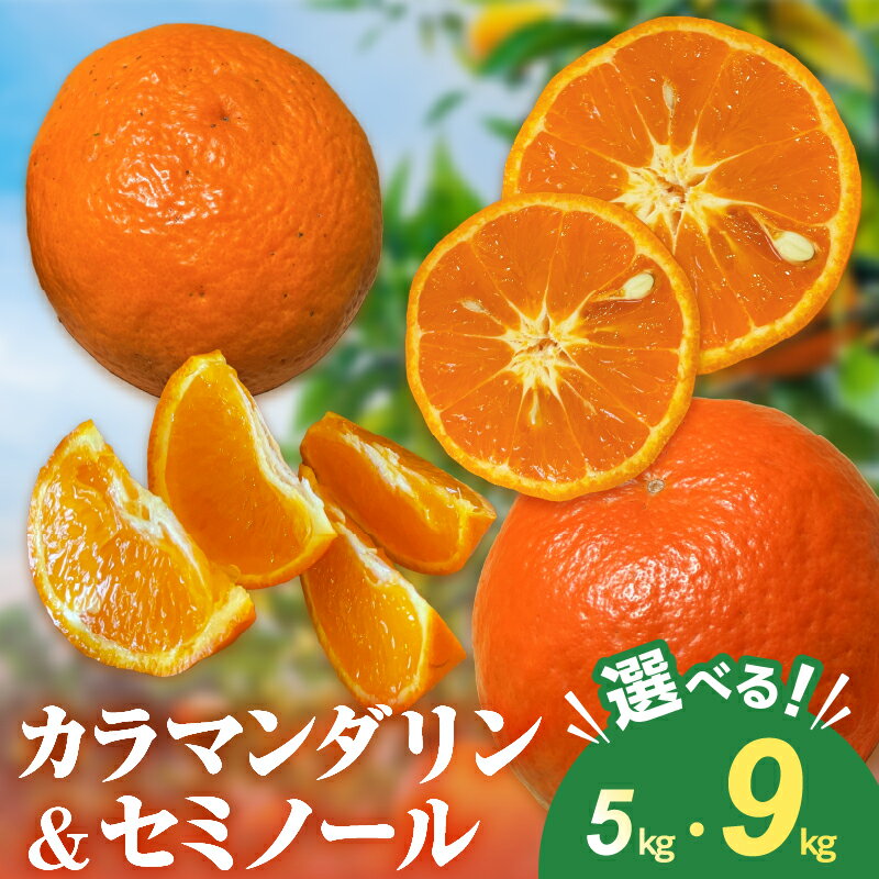【2026年発送 先行予約品】ミカファーム カラマンダリン＆セミノール詰め合わせ 5kg 9kg 春頃発送 三重県御浜町産