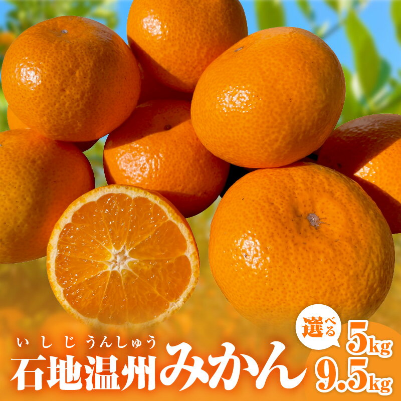 ミカファーム 石地温州みかん 5kg 9.5kg 希少品種 三重県御浜町産【樹上で完熟させた、甘くてコクのあるみかん】