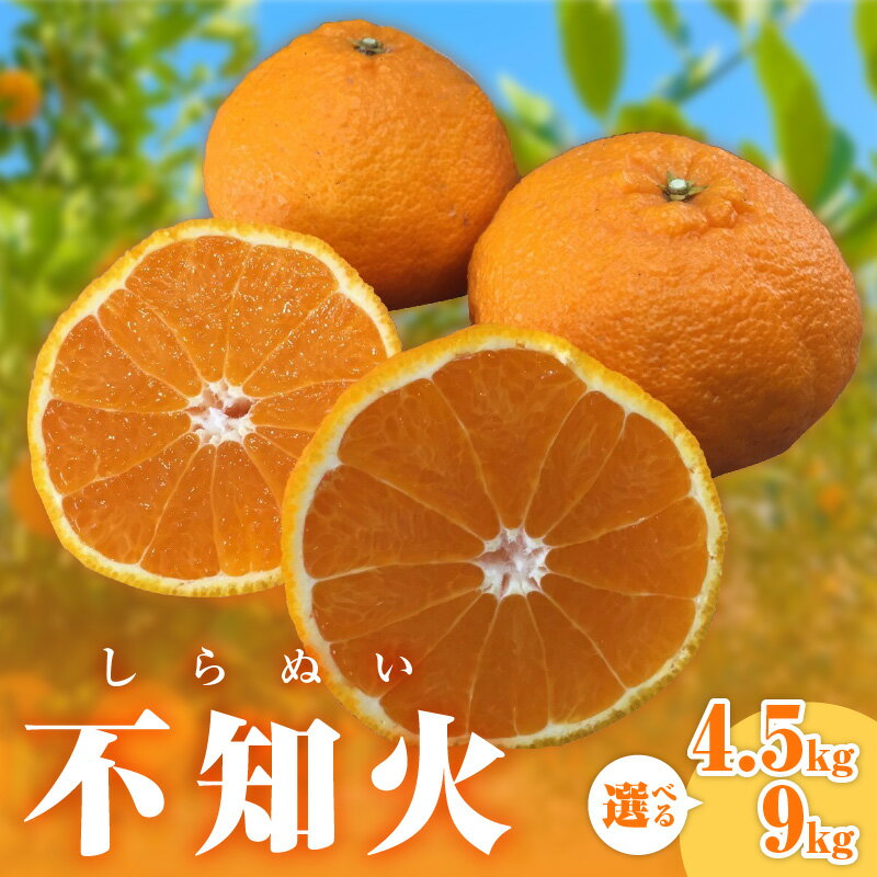 【2026年発送 先行予約品】濃密な甘酸っぱさ！ ミカファーム 不知火 4.5kg 9kg 春頃発送 三重県 御浜町産【ジューシーで濃厚な味わい】