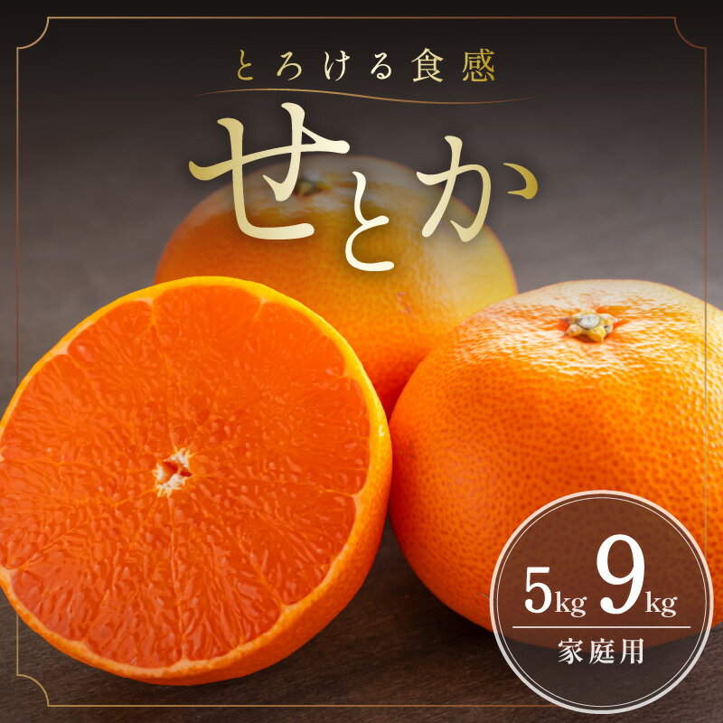 【2026年発送 先行予約品】ミカファーム せとか 5kg 9kg 家庭用 春頃発送 三重県 御浜町産【柑橘の大トロと言われるほどのとろける果肉】