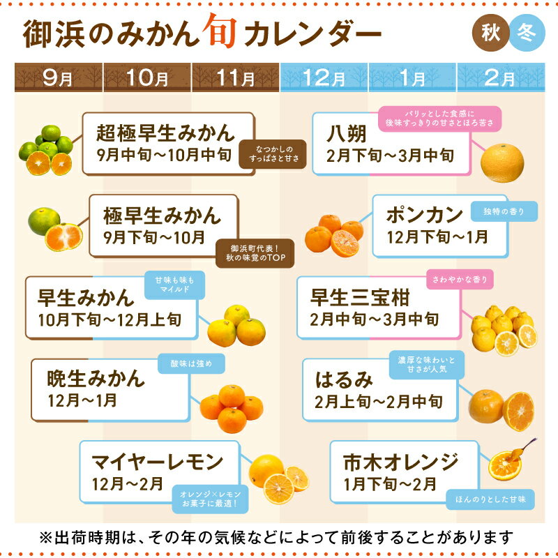 【ふるさと納税】【2026年発送 先行予約品】濃厚とろ旨！ ミカファーム みかん カラマンダリン 5kg 9kg 選べる 容量 三重県御浜町産【ジューシーかつ濃厚な味わいの高級柑橘】 サムネイル3