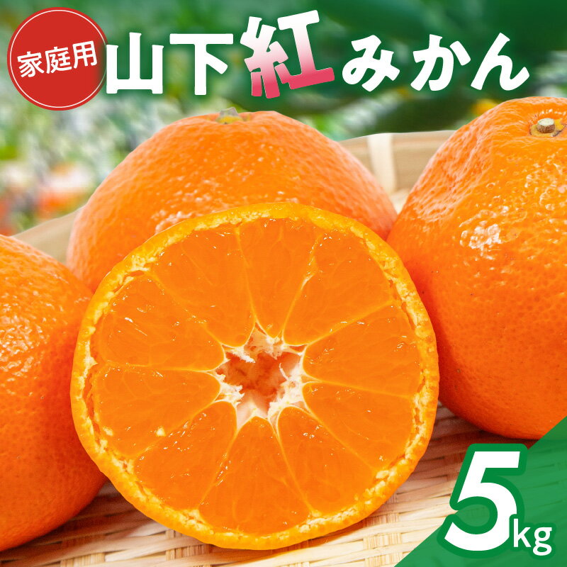 【数量限定】辻本農園 訳あり 山下紅みかん 家庭用 5kg キズあり【栽培が難しく市場に出回りにくい幻のみかん】