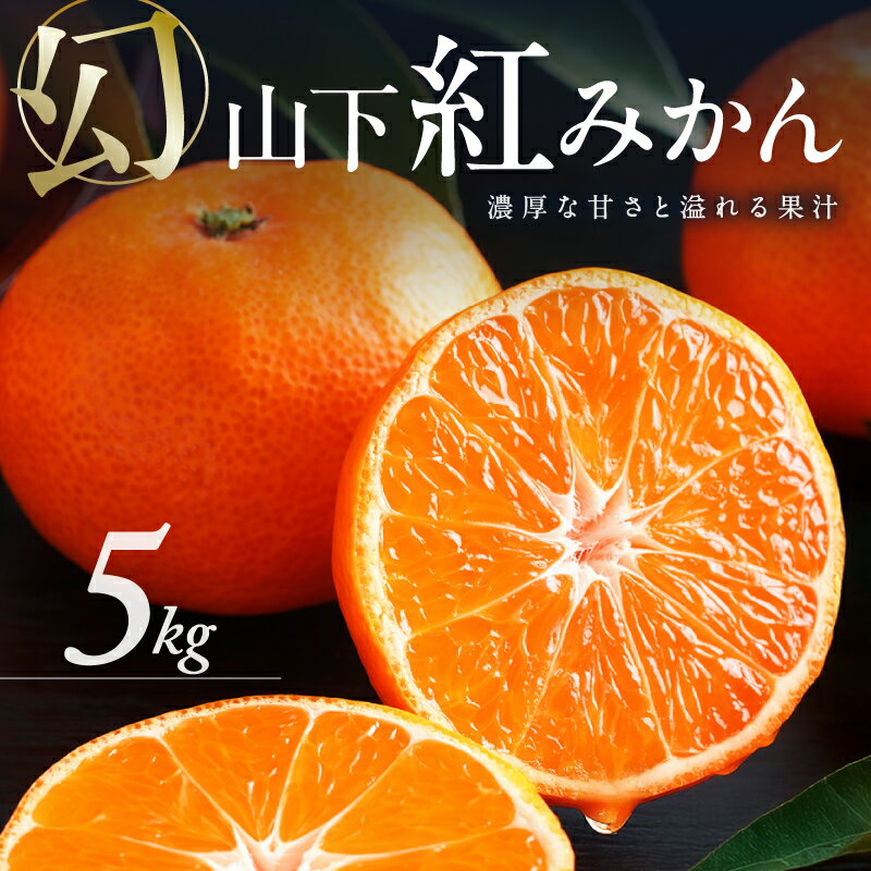 【数量限定】辻本農園 山下紅みかん 5kg【栽培が難しく市場に出回りにくい幻のみかん】