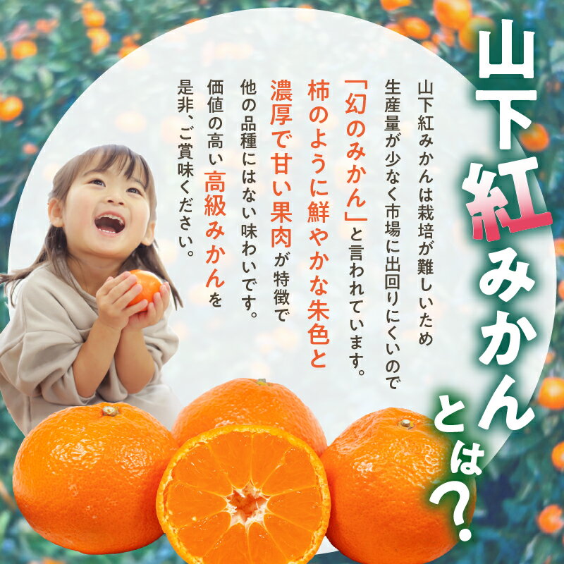 【ふるさと納税】【数量限定】辻本農園 訳あり 山下紅みかん 家庭用 5kg キズあり【栽培が難しく市場に出回りにくい幻のみかん】 サムネイル2