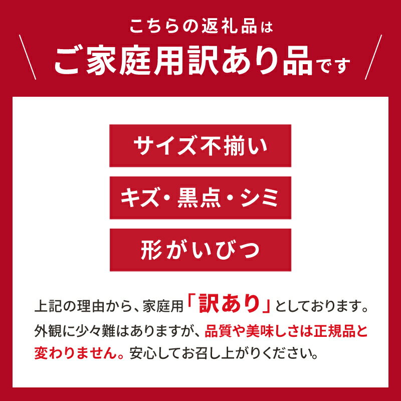 【ふるさと納税】【数量限定】辻本農園 訳あり 山下紅みかん 家庭用 10kg キズあり【栽培が難しく市場に出回りにくい幻のみかん】 サムネイル2