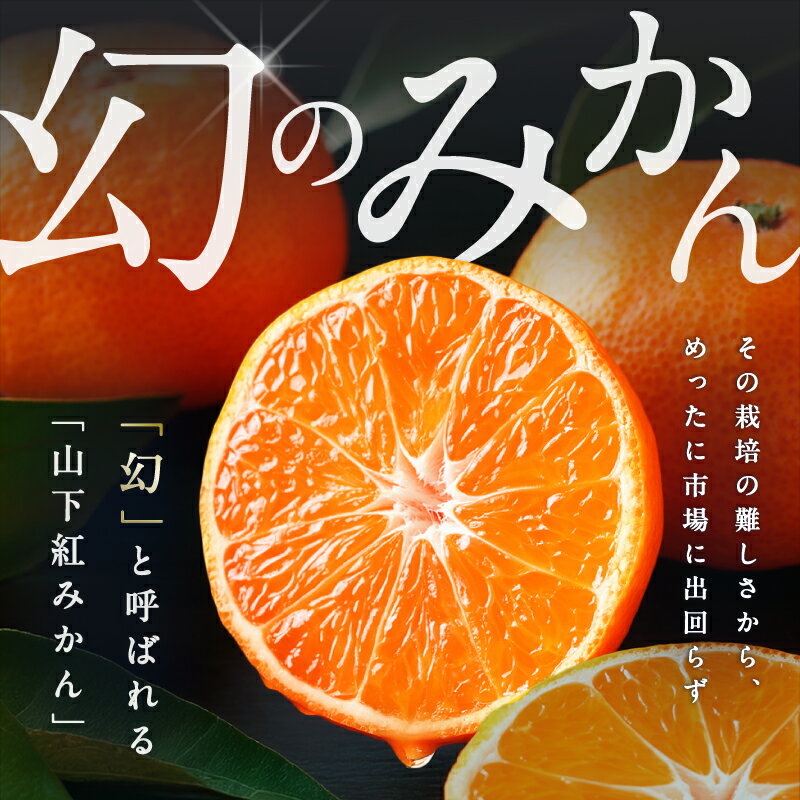 【ふるさと納税】【数量限定】辻本農園 山下紅みかん 10kg【栽培が難しく市場に出回りにくい幻のみかん】 サムネイル2