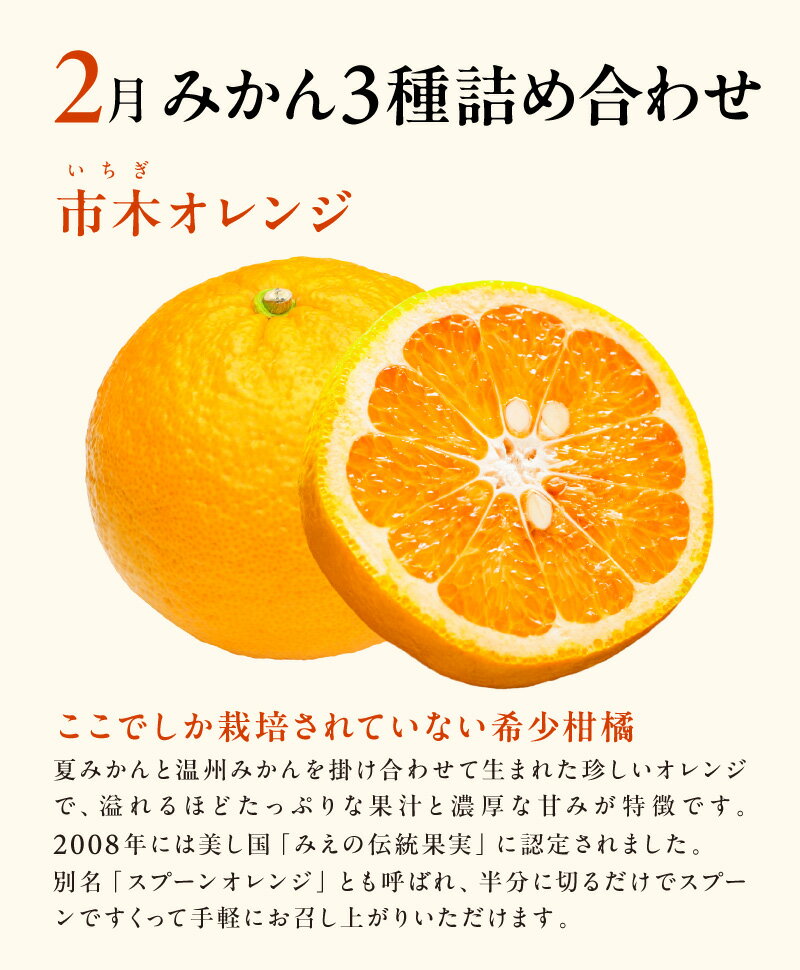 【ふるさと納税】【2026年発送 先行予約品】2月の御浜柑橘 早生三宝柑 みえのスマイル 市木オレンジ 詰め合わせ セット 5kg【御浜町でとれたみかん詰め合わせをお届け！】 サムネイル2